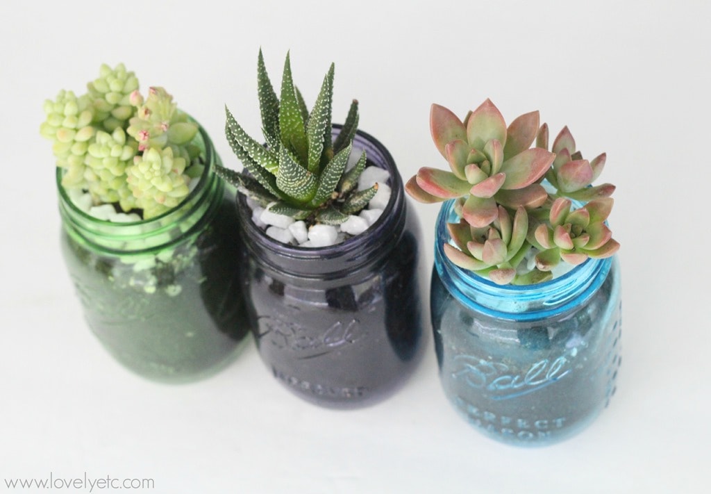Mother's Day Gardening Gift with Mason Jars and a Giveaway - Domestically  Speaking