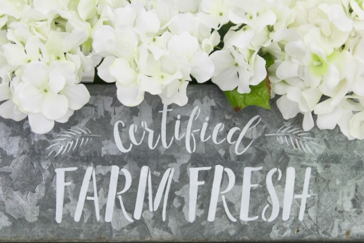 how-to-make-a-ten-minute-farmhouse-centerpiece