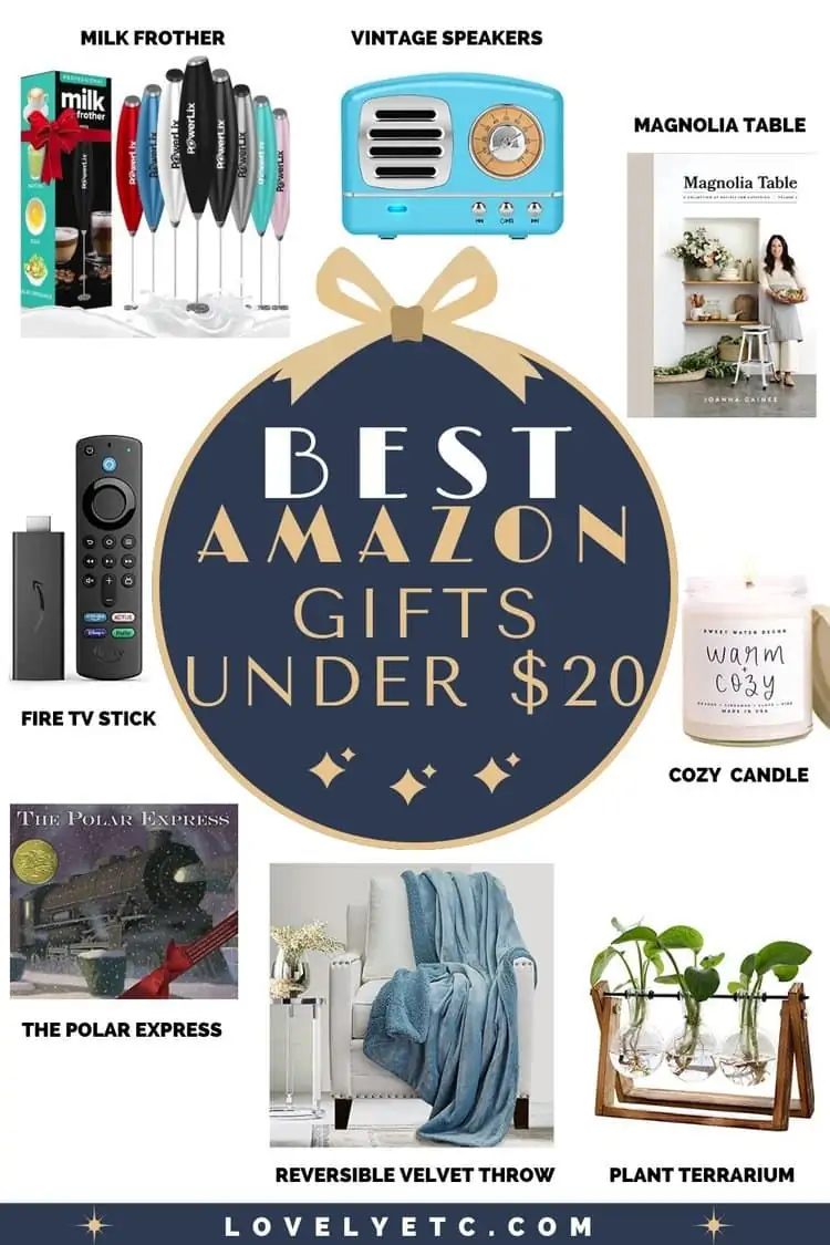 Under $20 Gift Guide • One Lovely Life