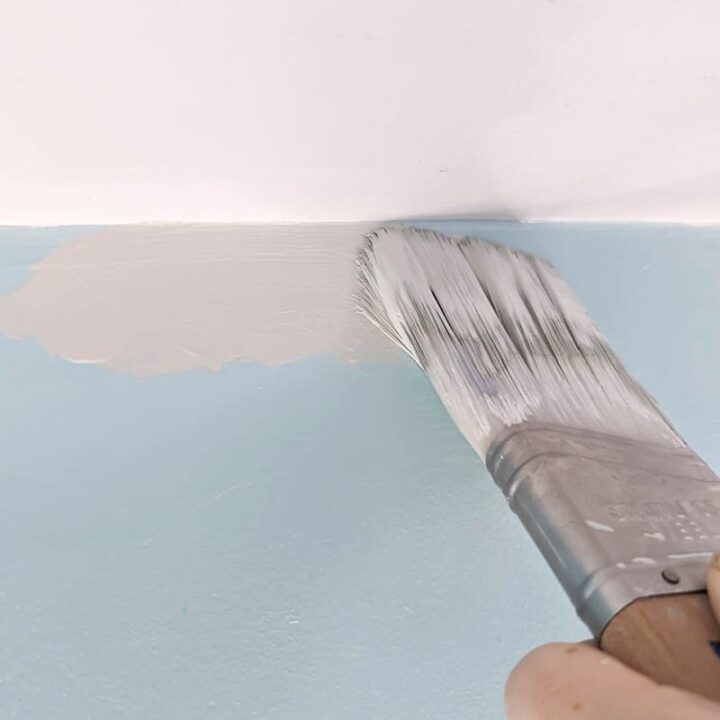 Zibra Palm Pro Cut-In Paint brush